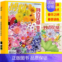 [正版]博物杂志博物2022年增刊 身边花草图鉴 中国国家地理杂志青少年儿童科普杂志订阅