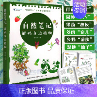 [正版] 自然笔记:解码身边植物 中小学生了解动植物的奇妙与智慧 体验人与自然的和谐共生关系绘画零基础入门教程书