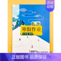 [人教版]数学 八年级下 [正版]2024新版 初中生七年级上册寒假作业数学人教版八年级上册人教版数学 智趣寒假作业初中