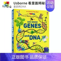 [正版]Usborne See Inside Genes & DNA 看里面揭秘系列 基因和DNA 儿童百科科普读物