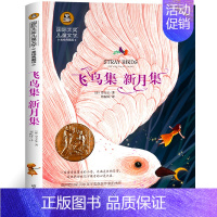 飞鸟集新月集 [正版]荷花镇的早市五年级版21世纪出版社 周翔著绘本书免邮三四五六年级小学生课外书 蒲蒲兰绘本馆 江南水