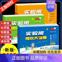 [人教版]数学 二年级下 [正版]2023新实验班提优大考卷一二三四五六年级下册上册数学语文英语小学同步测试卷子训练期末