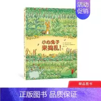 [正版]小心兔子来捣乱平装海豚绘本花园一本充分引起孩子阅读兴趣的绘本适合3岁以上童书