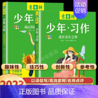 [全2册]我记得你的样子+爱在光年之外 初中通用 [正版]金素材初中分级作文素材2023年中考高分作文与名师解析体作文素