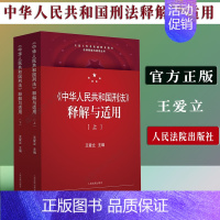 [正版] 中华人民共和国刑法 释解与适用 刑法修正案十一 刑法典2版新版中华人民共和国刑法司法解释 刑法解读人民法院出版