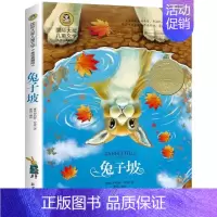 兔子坡 [正版]胡桃夹子书 大奖儿童文学美绘典藏版小学生课外阅读物奇幻小说精美彩插8-9-10-12岁少儿童书籍二三四五
