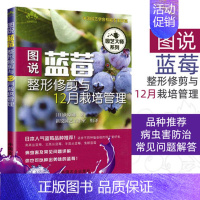 图说蓝莓修剪与12月栽培管理 [正版]全图解果树修剪与栽培管理大全果树种植嫁接技术书修剪书籍果树土肥管理桃树草莓