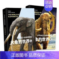 (2册)大象的世界1+2 [正版]PNSO动物博物馆大小型猫科动物大象的世界精装恐龙百科全书百科恐龙书籍儿童读物3-6-