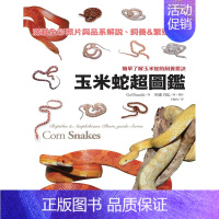 [正版] 原版进口图书 《玉米蛇超图鉴简单了解玉米蛇的饲养要诀》东贩进口原版