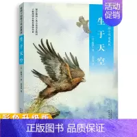 椋鸠十动物小说3:生于天空 [正版]2023 椋鸠十动物小说全10册 生于天空月轮熊山大王孤岛野犬野鸭的友情小说爱藏本