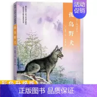 椋鸠十动物小说4:孤岛野犬 [正版]2023 椋鸠十动物小说全10册 生于天空月轮熊山大王孤岛野犬野鸭的友情小说爱藏本