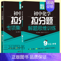 [正版]赢在思维 初中化学拉分题解题思维训练+专项集训300题 中考+九年级9年级初三化学辅导资料教辅书 练习题中考题库