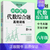 数学 [正版]周计划初中数学代数综合题高效训练八年级 初二数学代数题同步训练真题高效专项训练解题技巧 初中数学思维 8年