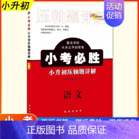 68所小升初压轴题[语文] 小学升初中 [正版]2023版名校小考必胜压轴题详解语文数学英语人教版小升初详解押题卷小学毕