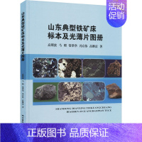 [正版]山东典型铁矿床标本及光薄片图册 高明波 等 专业科技 冶金、地质 冶金工业 书店图书籍中国地质大学出版社