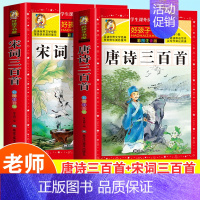 [全2册]唐诗三百首+宋词三百首 [正版]老师唐诗三百首完整版幼儿早教全解详注全集2册宋词三百首注音版儿童版一年级二年级