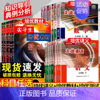 [3本套]培优讲义语文+数学+英语(人教版) 九年级 [正版]2024新版走进重高培优讲义培优测试七八九年级语文数学英语