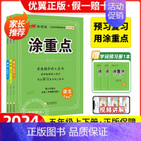 英语.人教版 五年级下 [正版]2024春新领程涂重点语文数学英语五年级上册下册二年级三年级四年级五年级六年级人教版课堂