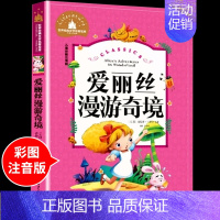 爱丽丝漫游奇境 [正版]兔子坡注音版 适合小学生一年级二年级三年级下册课外书必读的书目老师经典书籍上册儿童漫画绘本故事书