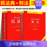 [正版]民法典2023年版正刑法民法典注释本司法解释中华人民共和国民法典注释版第二版2022刑法典十一修订法律法规法条书