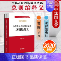 [正版] 2020新版 中华人民共和国民法典总则编释义 黄薇 2020民法典总则法律释义丛书 民法典总则编法律法规实