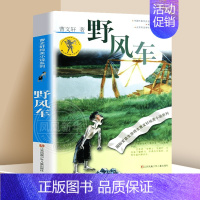 ❤野风车[曹文轩纯美小说系列] [正版]野风车 曹文轩全套 中小学生课外阅读书籍三四五六年级6-7-9-10-12-15