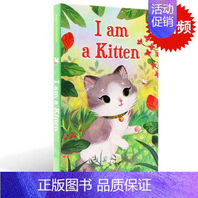 I am a Kitten 我是一只小猫 [正版]英文原版绘本iamabunny我是一只系列盒装 经典英语读物纸板书