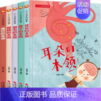 小小五官的故事[全套5册] [正版]神奇的小种子绘本故事书幼儿园儿童绘本3-6岁硬皮硬壳精装A4绘本幼儿园大中小班阅读绘