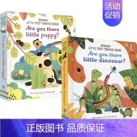 幼儿早教启蒙洞洞书 2册 [正版]英文原版 Usborne Little Peep-Through Books Are