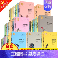 名家名译全套66册 [正版] 全套66册世界文学名著原著 青少年版名家名译小学生初中高中学生9-12-15-18周岁课外