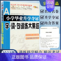 字词句训练大集结 小学升初中 [正版]小学毕业升学夺冠语文知识大集结成语知识古诗文知识名著知识文学常识考点字词句训练综合