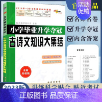 古诗文知识大集结 小学升初中 [正版]小学毕业升学夺冠语文知识大集结成语知识古诗文知识名著知识文学常识考点字词句训练综合