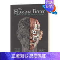 [正版]身体构造立体书 英文原版 精装 The Human Body 英文版儿童身体健康教育科普 立体书翻翻书绘本 进口