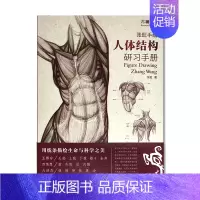 [正版] 张旺手绘 人体结构研习手册 Figure Drawing 用线条描绘生命与科学之美 揭开人类皮囊下的奥秘