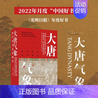 大唐气象:唐代审美意识研究 [正版]黑神话美学宝典大唐气象:唐代审美意识研究 唐代文学艺术与美学理论 西游背景里的文化、