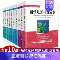 世界十大名著10册装 [正版]世界十大名著全套10册简爱书籍巴黎圣母院傲慢与偏见悲惨世界基督山伯爵原著文学书经典小说