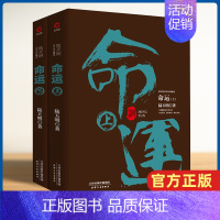 [正版]命运(上下陆天明当代作品精选) 全2册 展现改革开放中各个层级不同人物 观念之间的激烈冲突 中国现当代文学小说