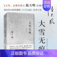 [正版]陆天明当代作品精选:大雪无痕 现实官场小说 政治官场职场反腐 现当代长篇小说