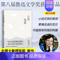 [正版]小说风景 批评家张莉全新力作 回顾百年中国故事 重新去认识我们的文学生活 张莉对中国现当代文学中篇目的重读 人民