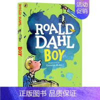 (好小子)Boy [正版]Roald Dahl 罗尔德达尔书美版小说 了不起的狐狸爸爸英文原版绘本 查理和巧克力工厂故事