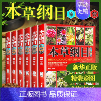 [文言文线装版]黄帝内经 [正版]本草纲目全套彩图版神农本草经千金方黄帝内经原版李时珍原著白话文中草药全图鉴药材零基础学