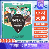 小材大用[名家妙语录] 高中通用 [正版]2023新版作文素材高考版疯狂作文赢在素材时代焦点/热点人物/文化经典/高频主