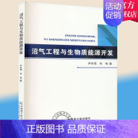 [正版] 沼气工程与生物质能源开发 尹冬雪 中国原子能出版传媒有限公司 农业林业沼气工程关系生物能源能源开发 97875