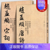 [正版]全套2册 赵孟頫宋词+唐诗 中国历代书法名家作品集字 繁简对照毛笔临帖集字古诗词赵孟俯行书楷书行草字帖临摹范本大