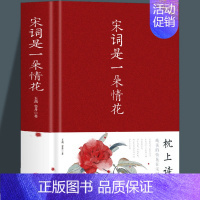 [正版]宋词是一朵情花 中国古典小说诗词文学中国经典古诗词中国诗词大会纳兰词唐诗宋词元曲诗经 中国古代诗词歌赋鉴书