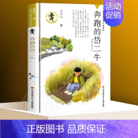 ❤奔跑的岱二牛 [正版]童眸 黄蓓佳 中国好书系列儿童成长读物文学小说三四五六年级青少年小学生课外阅读书籍3-6-12-