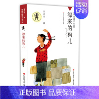 漂来的狗儿 [正版]我要做好孩子 课外书黄蓓佳倾情小说系列 6-7-9-10-12岁三四五六年级课外阅读书籍儿童文学读物