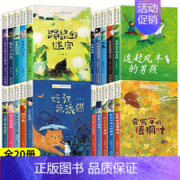 [特惠20册]获奖文学作品全系列 [正版]儿童文学获奖作品全套5册小学生三四五年级阅读课外书下册必读语文老师课外阅读经典