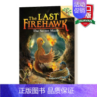 火鹰传奇10 [正版]华研原版 学乐大树系列 火鹰传奇1 英文原版 The Last Firehawk The Embe