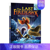 火鹰传奇2 [正版]华研原版 学乐大树系列 火鹰传奇1 英文原版 The Last Firehawk The Ember